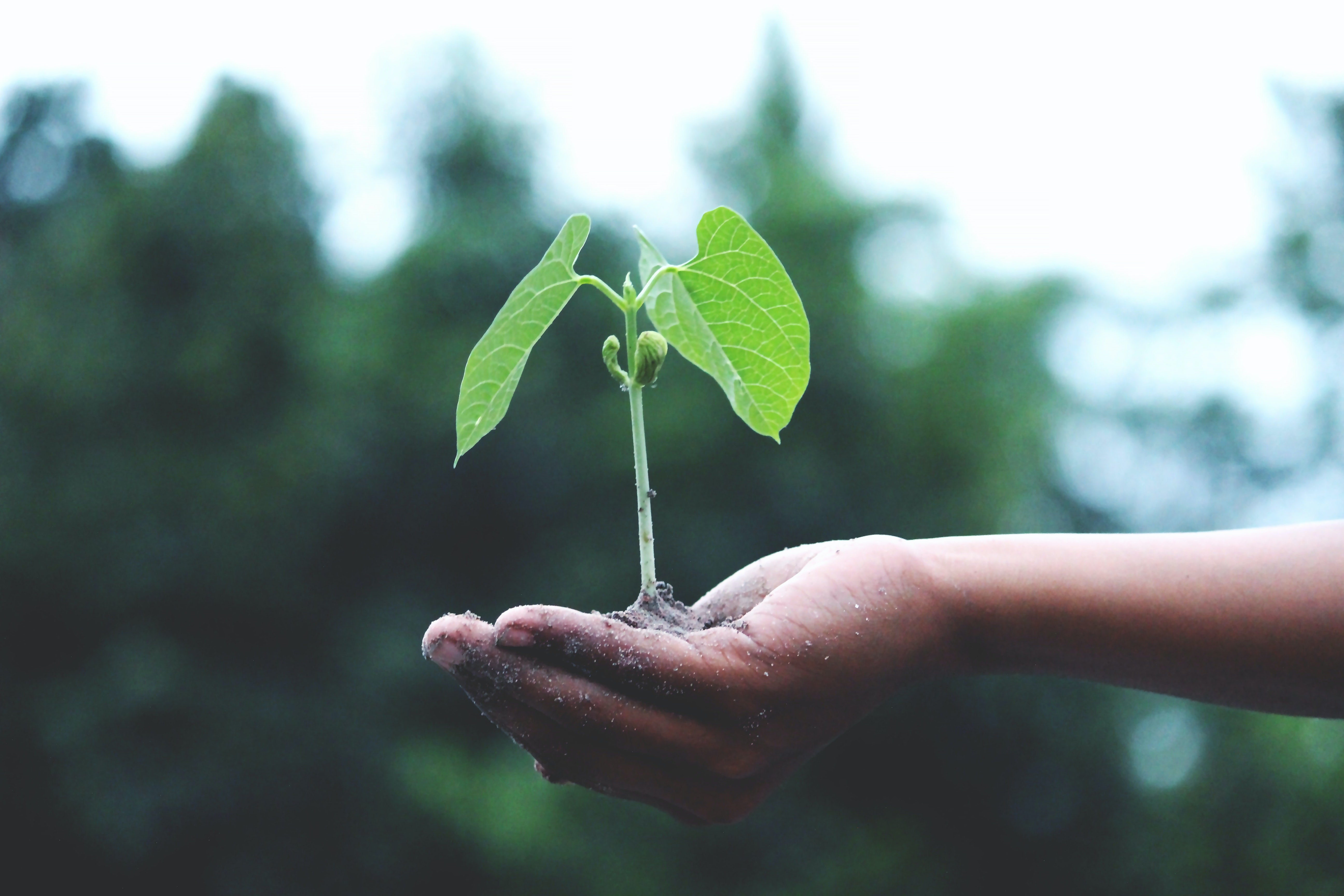 Celebrating 50 years of Earth Day on April 22