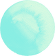 Cream Cleanser