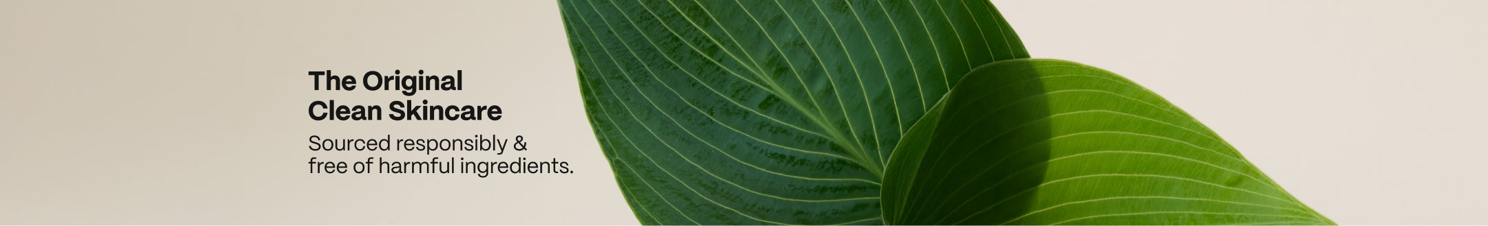 Mature Skin Banner